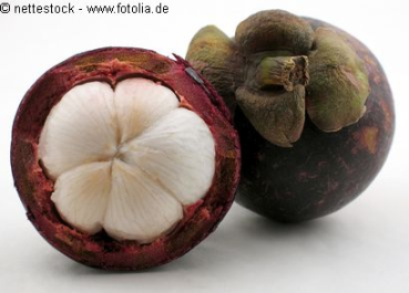 12 x 500ml Mangostan Premium Püree