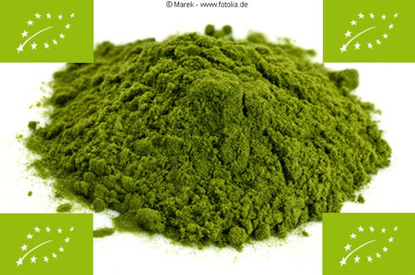 500g BIO Gerstengras-Pulver, 100% rein, deutscher Anbau