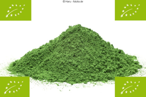 200g BIO Matcha Tee Pulver, Grüntee
